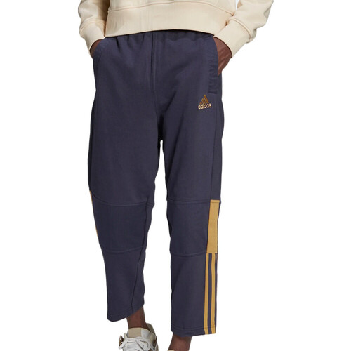 Abbigliamento Uomo Pantaloni da tuta adidas Originals H56628 Blu