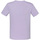 Abbigliamento Unisex bambino T-shirt maniche corte Fruit Of The Loom Iconic 150 Multicolore