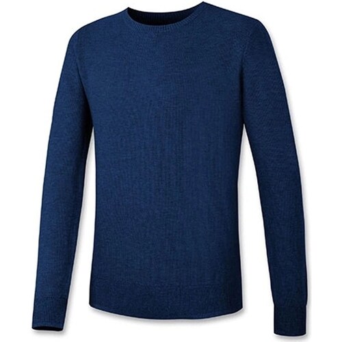 Abbigliamento Uomo T-shirts a maniche lunghe Brugi CZ11 Blu