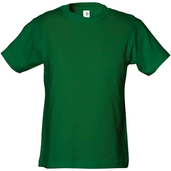 Abbigliamento Unisex bambino T-shirts a maniche lunghe Tee Jays  Verde