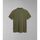 Abbigliamento Uomo T-shirt & Polo Napapijri ELBAS JERSEY - NP0A4GB4-GAE GREEN LICHEN Verde