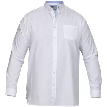 Abbigliamento Uomo Camicie maniche lunghe Duke  Bianco