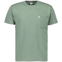 Abbigliamento Uomo T-shirt maniche corte Scout T-shirt M/m  (10584) Verde