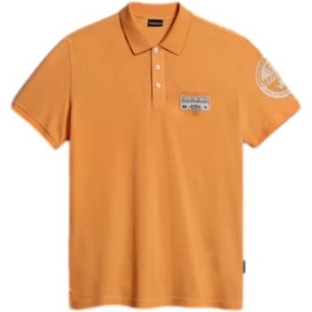 Abbigliamento Uomo T-shirt & Polo Napapijri AMUNDSEN Arancio