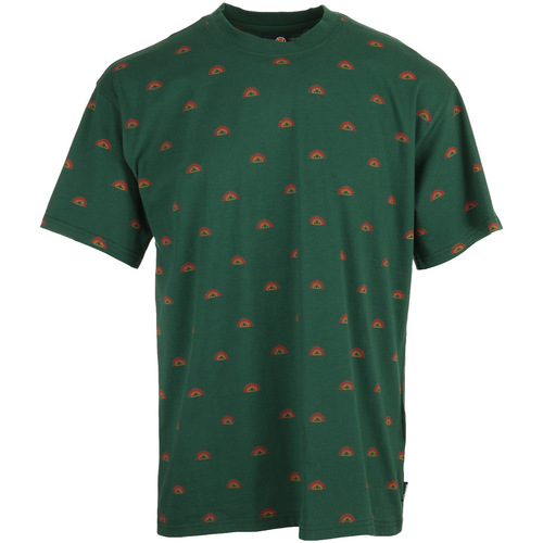 Abbigliamento Uomo T-shirt maniche corte Ellesse Sanya Tee Verde