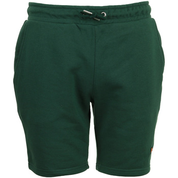 Abbigliamento Uomo Shorts / Bermuda Ellesse Pedone short Verde