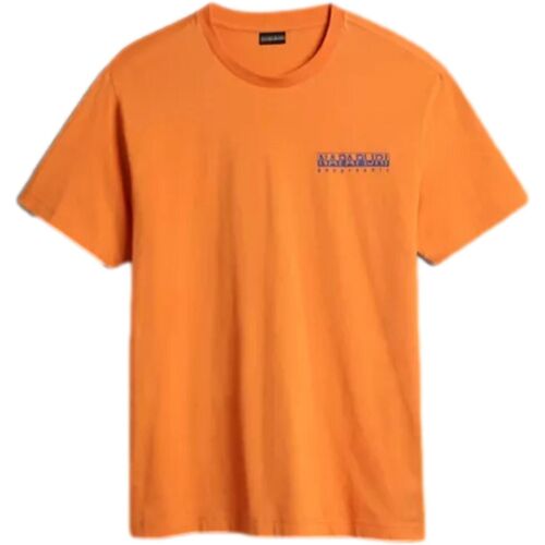 Abbigliamento Uomo T-shirt & Polo Napapijri BOLIVAR Arancio