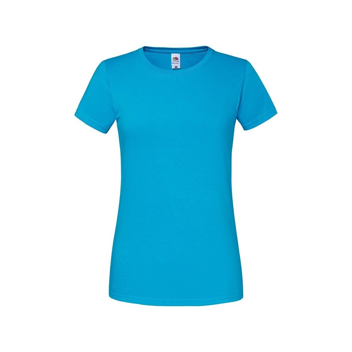 Abbigliamento Donna T-shirts a maniche lunghe Fruit Of The Loom Premium Multicolore
