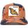 Accessori Cappelli Goorin Bros 101-1055 MAJESTIC-ORANGE Arancio