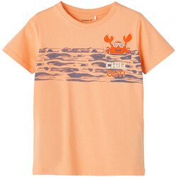 Abbigliamento Bambino T-shirt & Polo Name it 13203022 Arancio