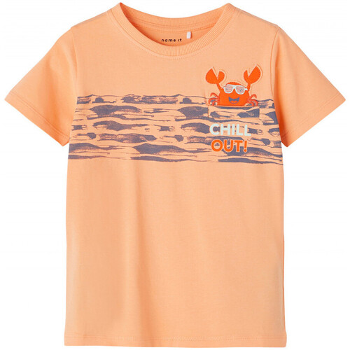 Abbigliamento Bambino T-shirt & Polo Name it 13203022 Arancio