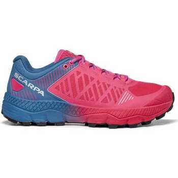 Scarpe Donna Running / Trail Scarpa SPIN ULTRA WMN ROSE FLUO BLUE STEEL 33069-352-4 DONNA Rosa