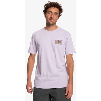 Abbigliamento Uomo T-shirt maniche corte Quiksilver  Viola