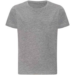 Abbigliamento Unisex bambino T-shirts a maniche lunghe Awdis The 100 Grigio