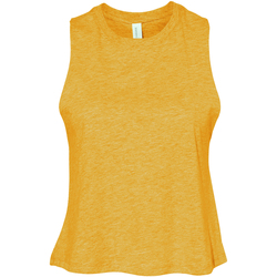 Abbigliamento Top / T-shirt senza maniche Bella + Canvas BE6682 Multicolore