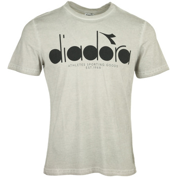 Abbigliamento Uomo T-shirt maniche corte Diadora T-shirt 5Palle Used Grigio