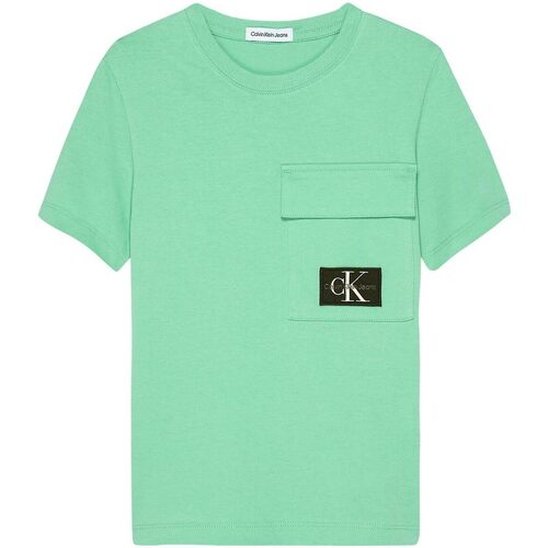 Abbigliamento Bambino T-shirt maniche corte Calvin Klein Jeans BADGE POCKET SS T-SHIRT Verde