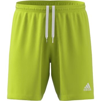 Abbigliamento Uomo Shorts / Bermuda adidas Originals ENT22 SHORT Giallo
