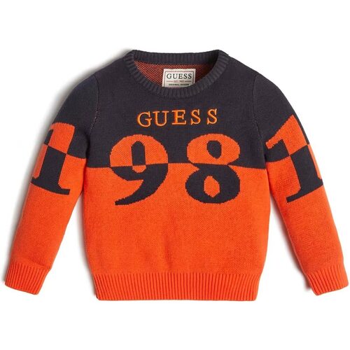 Abbigliamento Bambino T-shirts a maniche lunghe Guess LS SWEATER Arancio
