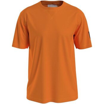 Abbigliamento Uomo T-shirt maniche corte Calvin Klein Jeans MONOLOGO SLEEVE BADGE REG TEE Arancio