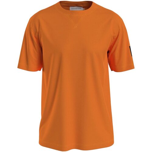 Abbigliamento Uomo T-shirt maniche corte Calvin Klein Jeans MONOLOGO SLEEVE BADGE REG TEE Arancio