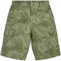 Abbigliamento Bambino Shorts / Bermuda Guess GMT DYE POPLIN SHORT Verde