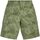 Abbigliamento Bambino Shorts / Bermuda Guess GMT DYE POPLIN SHORT Verde