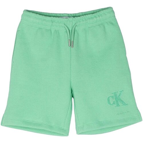 Abbigliamento Bambino Shorts / Bermuda Calvin Klein Jeans CK INTERLOCK PIQUE SHORTS Verde