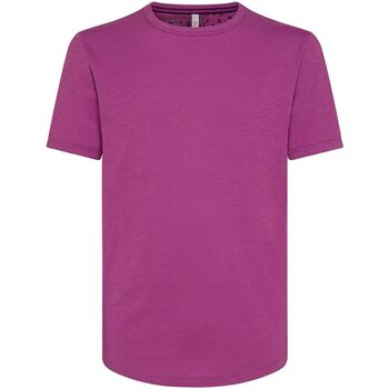Abbigliamento Uomo T-shirt maniche corte Sun68 T-SHIRT ROUND BOTTOM Viola