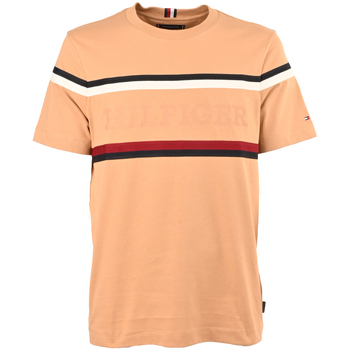 Abbigliamento Uomo T-shirts a maniche lunghe Tommy Hilfiger mw0mw31541-rbl Marrone