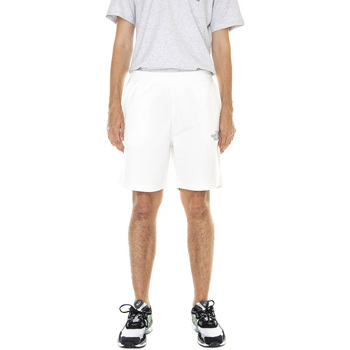 Abbigliamento Uomo Shorts / Bermuda The North Face M' D2 Graphic Short Eu Gardenia White Bianco