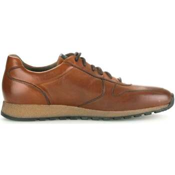 Scarpe Uomo Sneakers Pius Gabor 0496.13.11 Marrone
