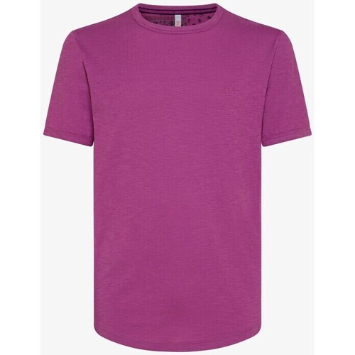Abbigliamento Uomo T-shirt maniche corte Sun68 T-SHIRT ROUND BOTTOM Viola