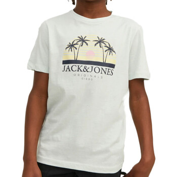 Abbigliamento Bambino T-shirt & Polo Jack & Jones 12235491 Verde