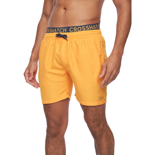 Abbigliamento Uomo Shorts / Bermuda Crosshatch Bandout Multicolore