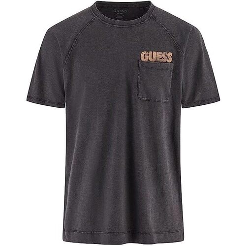 Abbigliamento Uomo T-shirt & Polo Guess T-shirt E24GU48 Blu