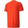 Abbigliamento Uomo T-shirt & Polo Puma 521643-25 Arancio