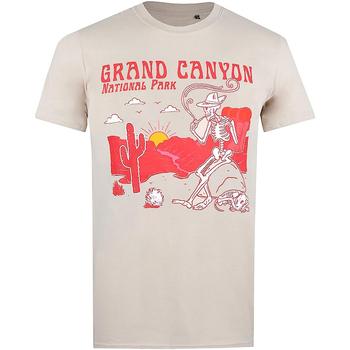 Abbigliamento Uomo T-shirts a maniche lunghe National Parks Grand Canyon Beige