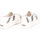 Scarpe Donna Sneakers Superga 2790 Lettering Tape Jellysole Bianco