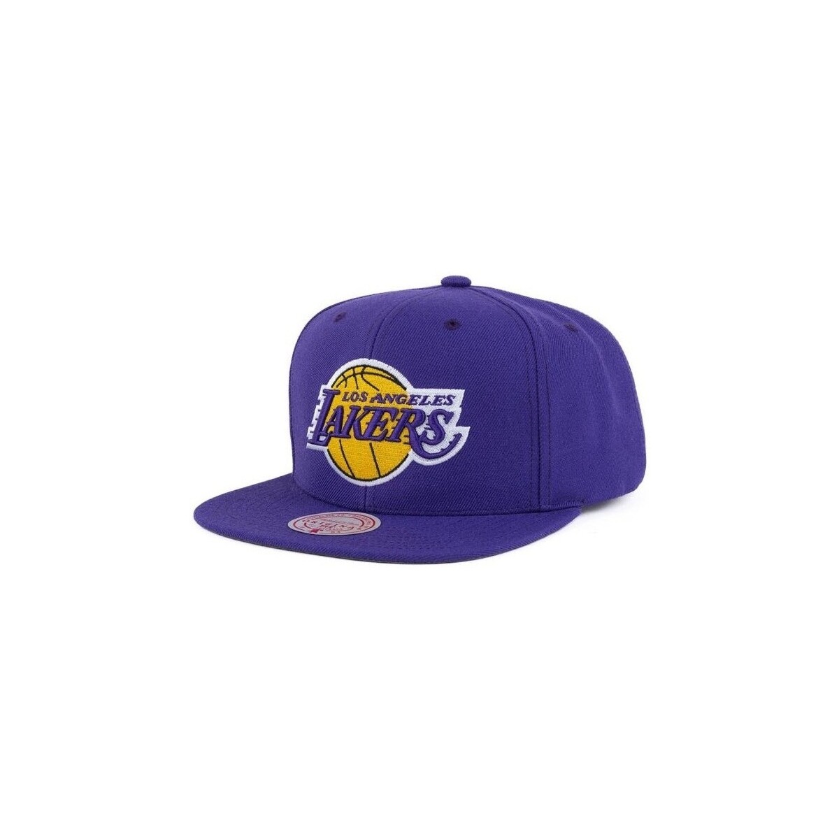 Accessori Uomo Cappelli Mitchell And Ness Mitchell&Ness NBA Team Ground 2.0 snapback Los Angeles Lakers Viola