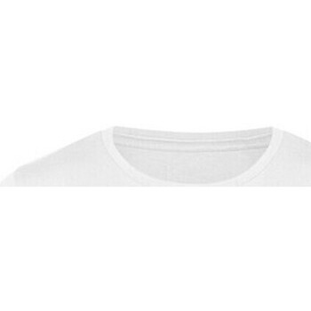 Abbigliamento Unisex bambino T-shirts a maniche lunghe Awdis  Bianco