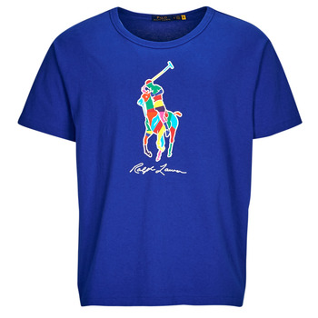 Abbigliamento Uomo T-shirt maniche corte Polo Ralph Lauren TSHIRT MANCHES COURTES BIG POLO PLAYER Blu