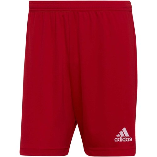 Abbigliamento Uomo Shorts / Bermuda adidas Originals Ent22 Sho Rosso