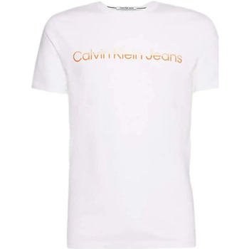 Abbigliamento Uomo T-shirt maniche corte Calvin Klein Jeans rainbow Bianco