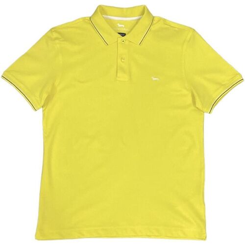 Abbigliamento Uomo T-shirt & Polo Harmont & Blaine LNF032303 Giallo