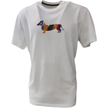 Abbigliamento Uomo T-shirt & Polo Harmont & Blaine IRJ003021223102 Altri