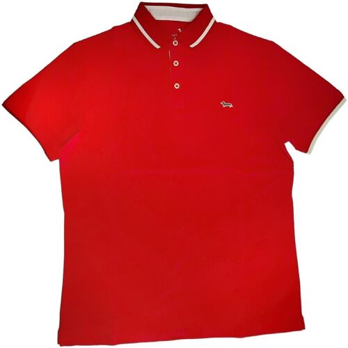 Abbigliamento Uomo T-shirt & Polo Harmont & Blaine LRH289534 Rosso