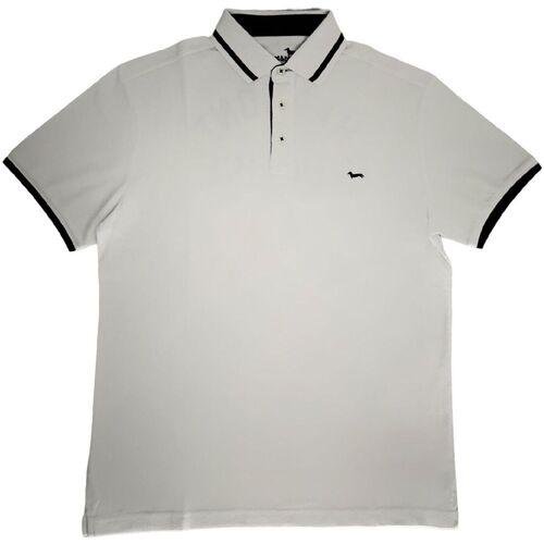 Abbigliamento Uomo T-shirt & Polo Harmont & Blaine LRH289100 Bianco