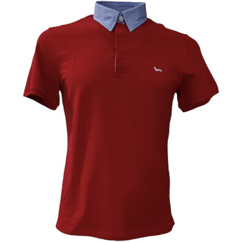 Abbigliamento Uomo T-shirt & Polo Harmont & Blaine LNH005N05020004534 Rosso