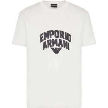 Abbigliamento Uomo T-shirt & Polo Emporio Armani 3R1TBF1JUVZ0101 Altri